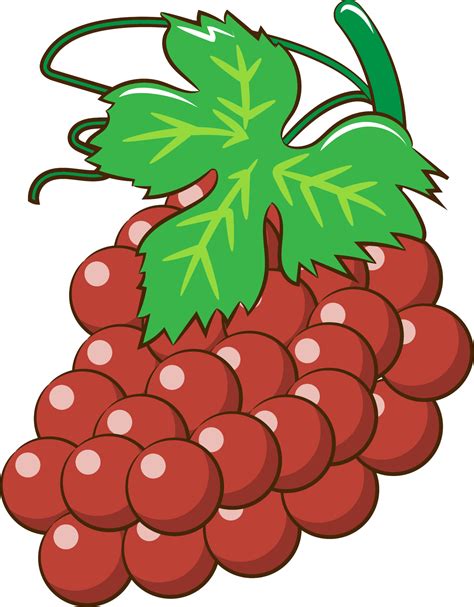 Grape Png Graphic Clipart Design 19614346 Png