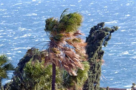 Alerta En Canarias Por Vientos De M S De Km H