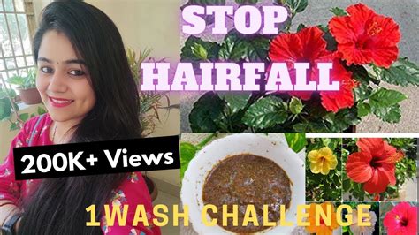 Diy Anti Hair Fall Mask Hibiscus Hair Mask Extreme Hair Growth Stop Hairfall Dandruff