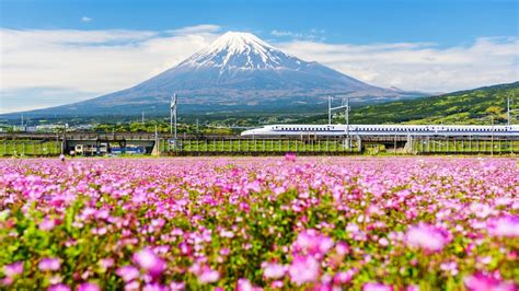 7 Big Mistakes To Avoid When Planning A Trip To Japan - Follow Me Away