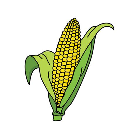 Premium Vector Corn Hand Drawn Vector Illustration Cartoon Corn