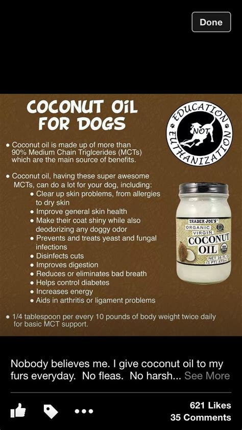 Coconut Oil For Dogs 13 Amazing Uses Dangerous Ones To