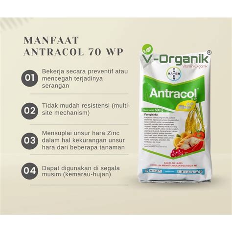 Jual ANTRACOL 70WP PLUS ZINC PUPUK FUNGISIDA ANTI JAMUR KEMASAN REPACK