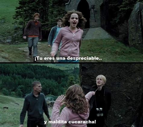 Pin De Bele Cribellini En Hp Harry Potter Gracioso Memes De Harry