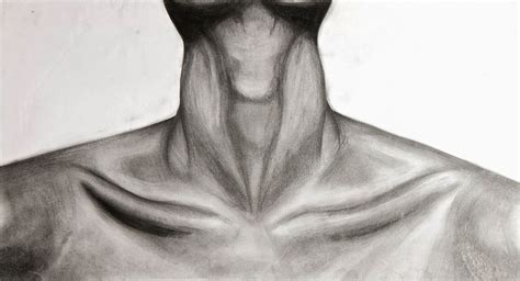 15097095 Pencil Drawing Of Collarbones