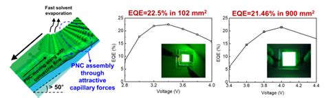 Highly Efficient Large Area Perovskite Light Emitting Diodes For Next