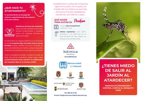 Medidas de prevención y control contra el mosquito tigre Ayuntamiento