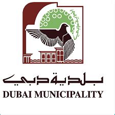 Dm Approval Dubai Municipality Approval Office Fit Out Company In Dubai