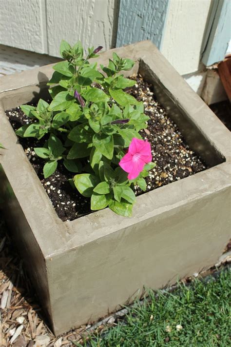 DIY Modern Minimal Concrete Planter Boxes