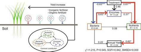 Long Term Organic Fertilizer Substitution Increases Rice Yield By