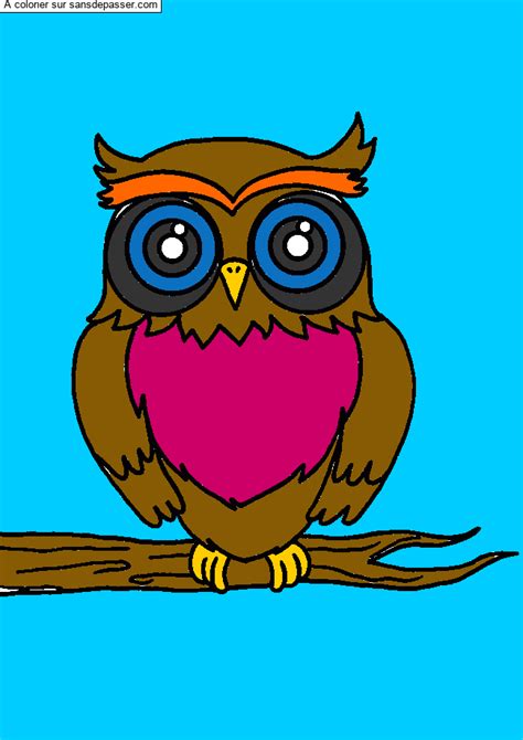 Dessin Colori Coloriage Hibou Sur Sa Branche Par Un Invit Sans