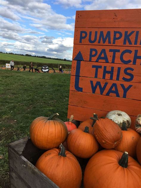 Where To Pick Your Pumpkin In Suffolk Or Just Over The Norfolk Border