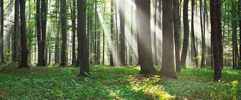 Comprehensive Sex Offender Treatment Program For All Ages