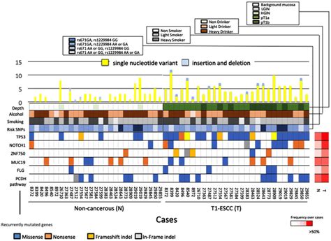 Mutational Landscapes In Carcinoma Tissues And Non Cancerous Tissues Of