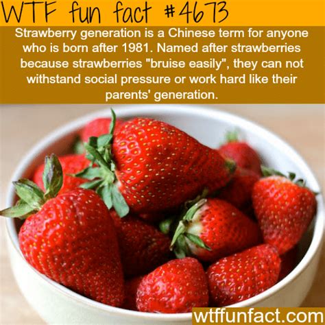 strawberry generation wtf fun facts