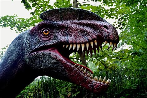 dinosaur dino dino park  photo  pixabay