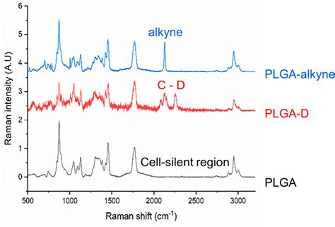 Alkyne Tagged PLGA Allows Direct Visualization Of Nanoparticles In