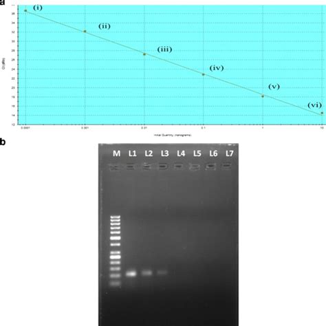 Analytical Sensitivity Of Real Time Pcr And Conventional Pcr A