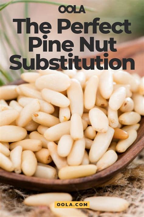 The Perfect Pine Nut Substitution Pesto Recipe No Pine Nuts Pine