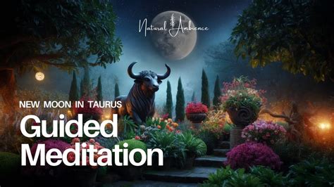 New Moon In Taurus Meditation Manifest Stability Abundance Guided