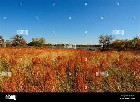 Texas Landscape Prairie Grass Stock Photo Alamy