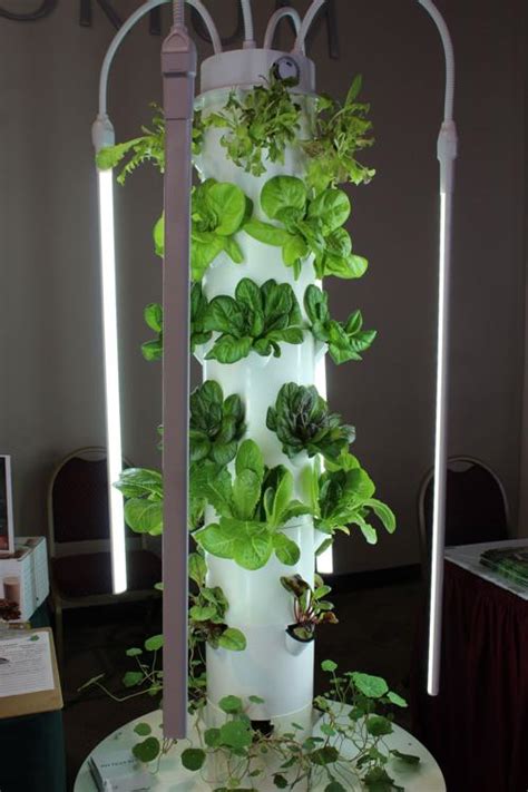 Tower Garden Photo Gallery