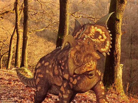 Einiosaurus Pictures & Facts - The Dinosaur Database