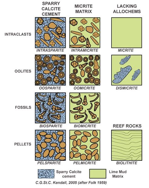 Carbonate Classification | Geology rocks, Rocks and minerals, Mineralogy