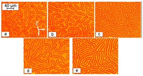 Magnetochemistry Free Full Text The Influence Of Magnetic Fields On