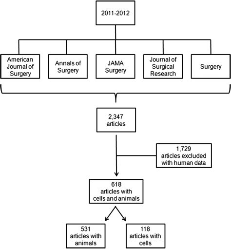 Sex Bias Exists In Basic Science And Translational Surgical Research