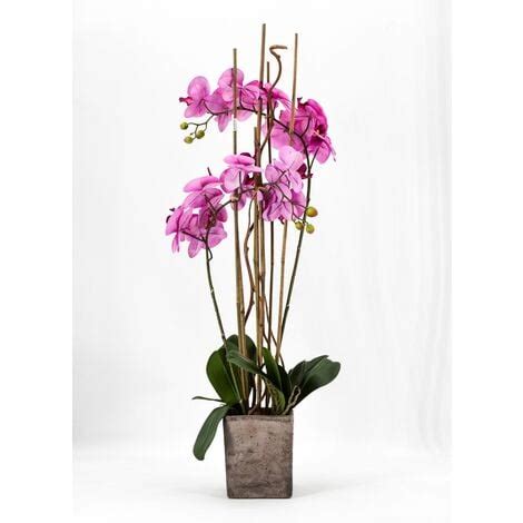 Phalaenopsis Orchidea Artificiale Cm Con Vaso Quadrato Rosa Fiori