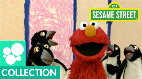 Sesame Street Elmos World Penguins Youtube