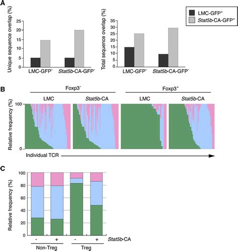 Linked T Cell Receptor And Cytokine Signaling Govern The Development Of