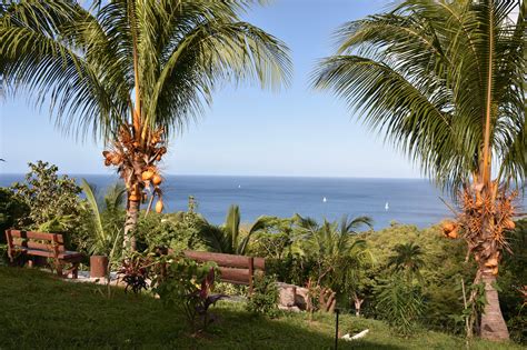 Savanne Paille Holiday Homes | Bed and Breakfast Portsmouth Dominica