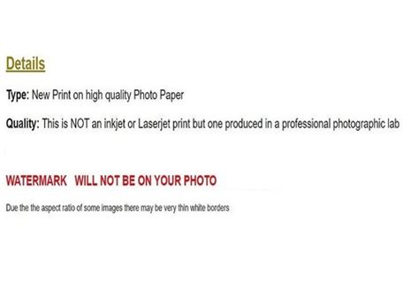 Photo Pinup Girl Woman Female Sexy Model Art Risque Nude Naked Erotic EBay