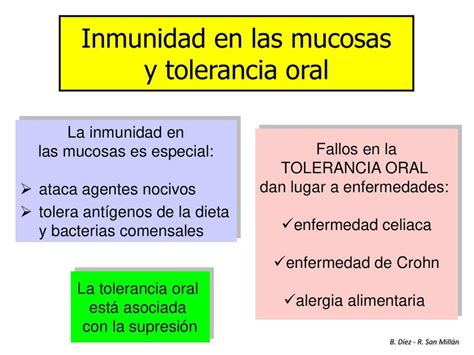 Inmunidad En Las Mucosas Y Tolerancia Oral Jorge Benseny UDocz