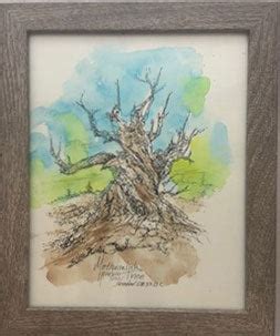 Methuselah Tree Original – Gene's Pen & Ink