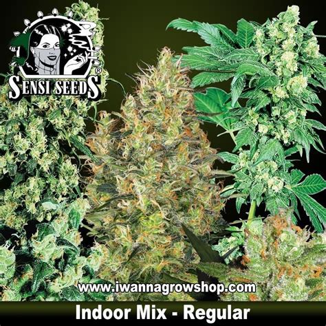 Comprar Indoor Mix Sensi Seeds Regulares I Wanna Grow Shop