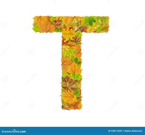 La Lettre T De L Alphabet Faite De Feuilles D Automne Photo Stock