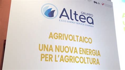 Agrivoltaico Una Rivoluzione Che Parte Dalla Sicilia YouTube