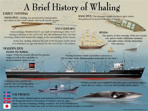 Whaling Commercial History Impacts Britannica