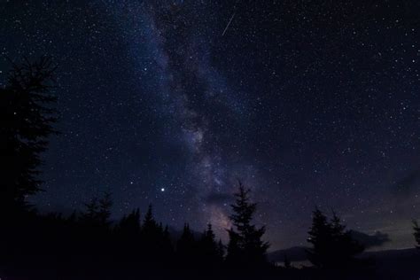 A Celestial Spectacle: Your Guide to the Perseid Meteor Shower Peak Night – Pop and Thistle