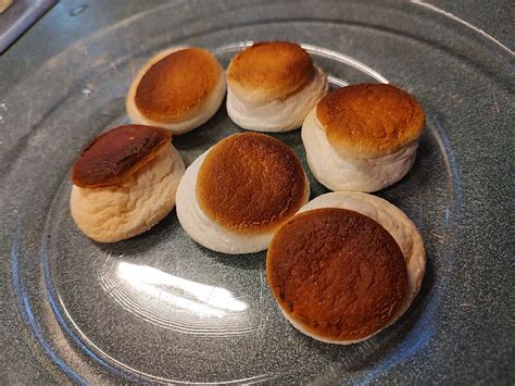 Homemade Oven Roasted Marshmallows - out standing in the field