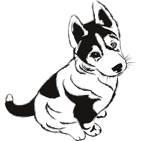 Coloriages Husky Imprimer Sur Wonder Day