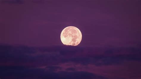 April Pink Moon 2024 Find Out How This Full Moon Will Affect Your Zodiac