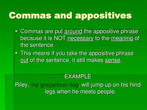 Appositives And Appositive Phrases Ppt Download