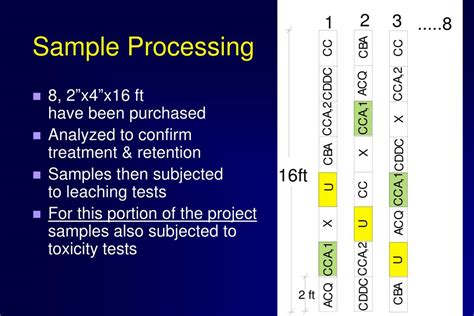 Ppt Year 5 Research Cca Treated Wood Evaluating Toxicity During