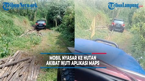 Viral Mobil Nyasar Masuk Hutan Akibat Ikuti Aplikasi Maps YouTube