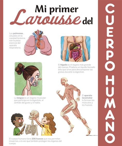 MI PRIMER LAROUSSE DEL CUERPO HUMANO Kita Penas Books Bistro