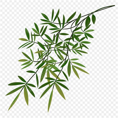 Bunch Of Leaves PNG Image Bamboo Leaves Bunch Leaf Green Spa PNG